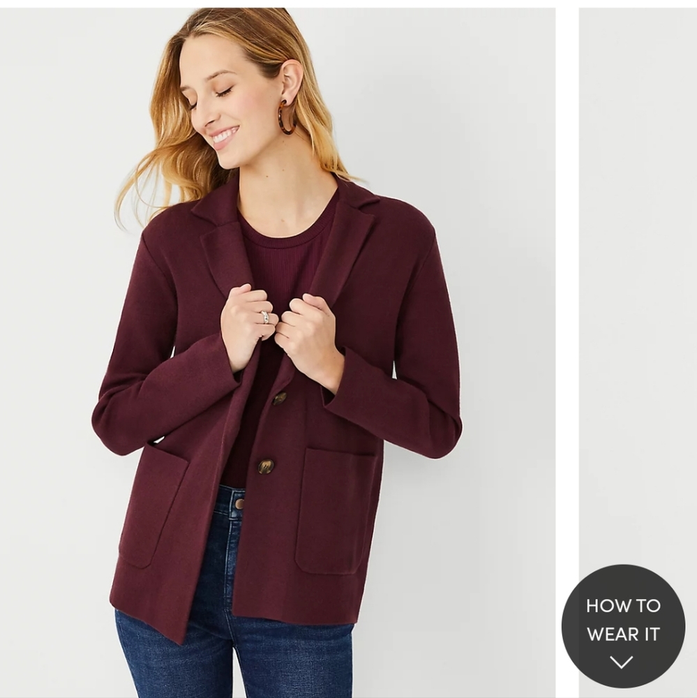 Ann Taylor Burgundy Blazer
